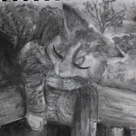 Meet your Posher, Viola - Picture 1 of 1